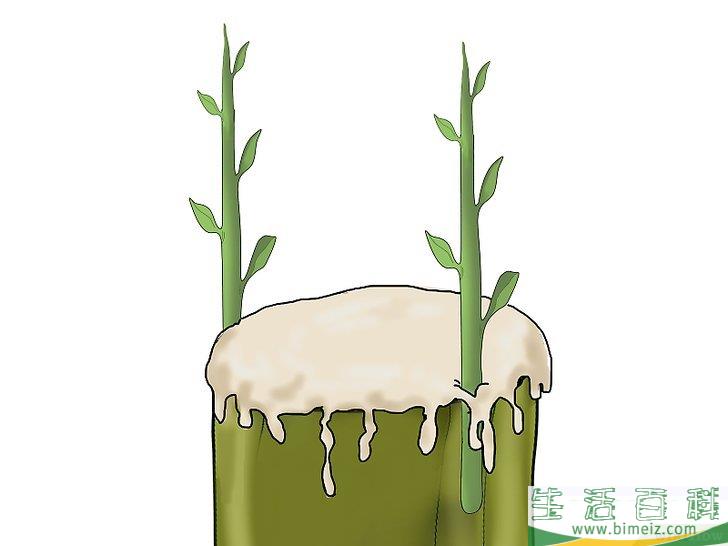 怎么嫁接树