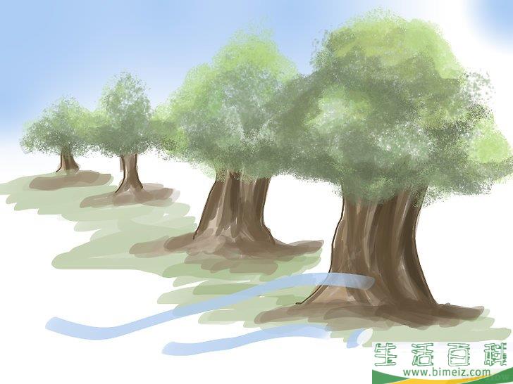 怎么种橄榄