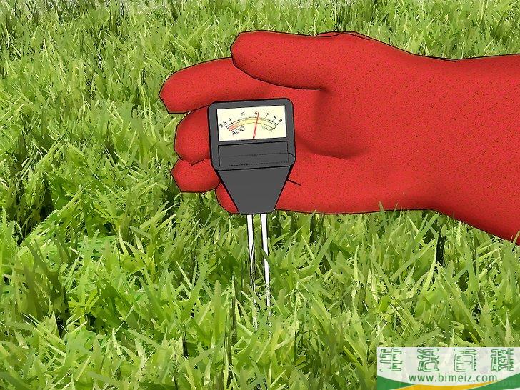 怎么去除狐尾草