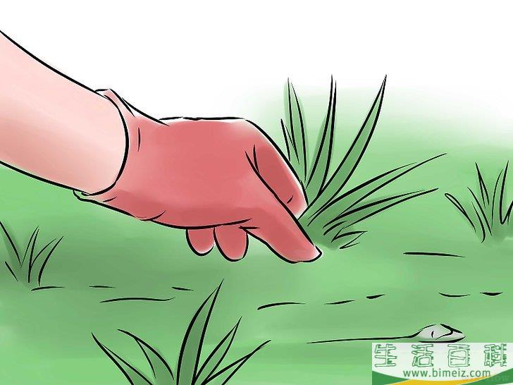 怎么种出一个花园