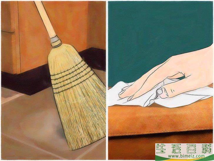 怎么消灭房间里的跳蚤和蜱虫