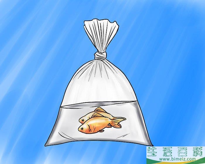 怎么组装淡水水族箱