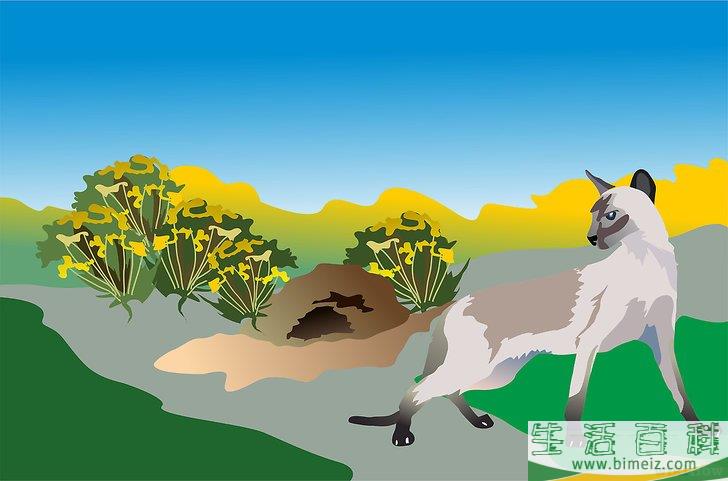 怎么消灭地鼠