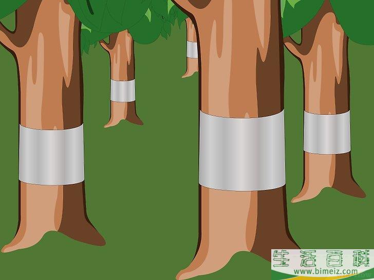 怎么赶跑松鼠