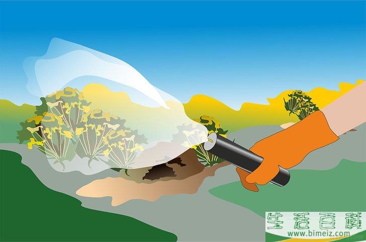 怎么消灭地鼠