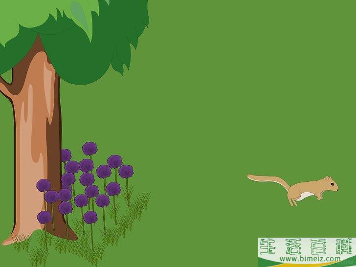 怎么赶跑松鼠
