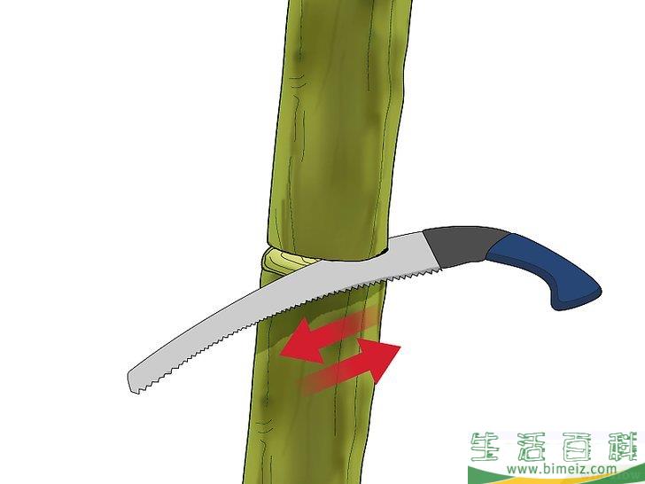 怎么嫁接树