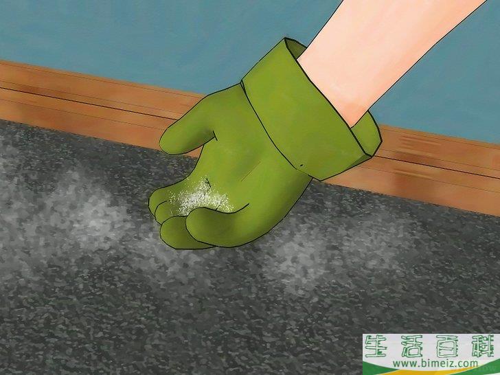 怎么消灭地毯里的跳蚤