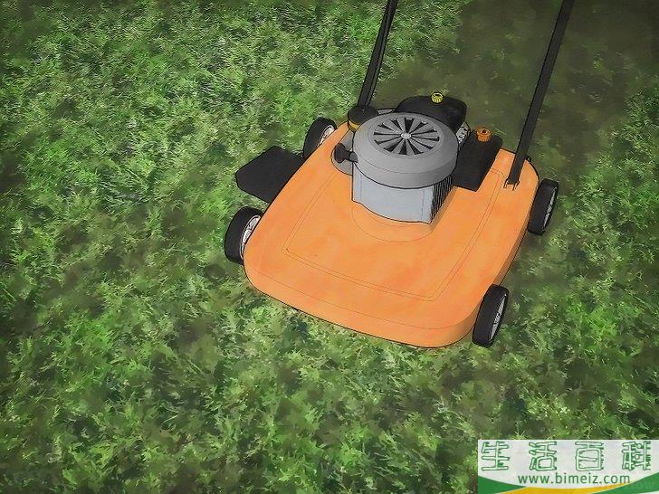 怎么消灭房间里的跳蚤和蜱虫