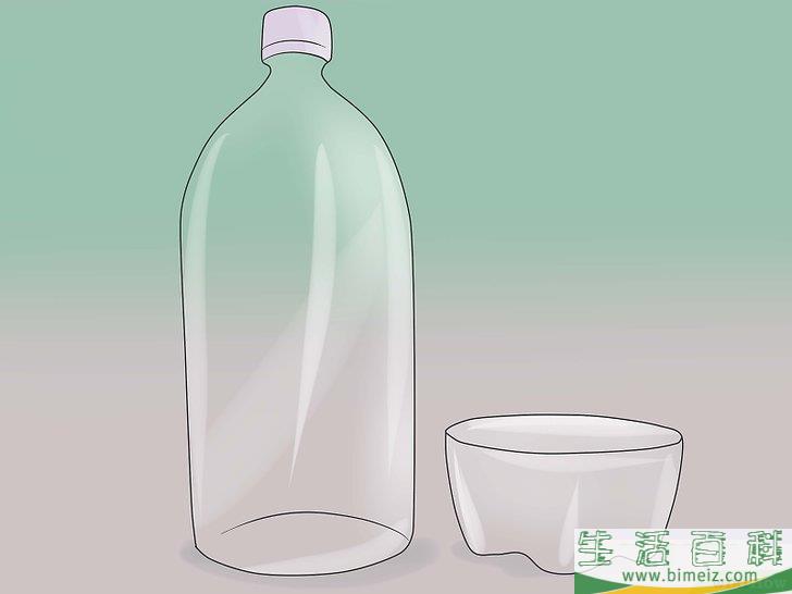 怎么捕捉苍蝇