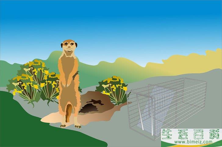 怎么消灭地鼠