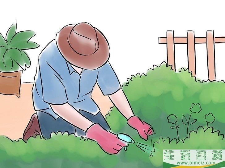 怎么种出一个花园