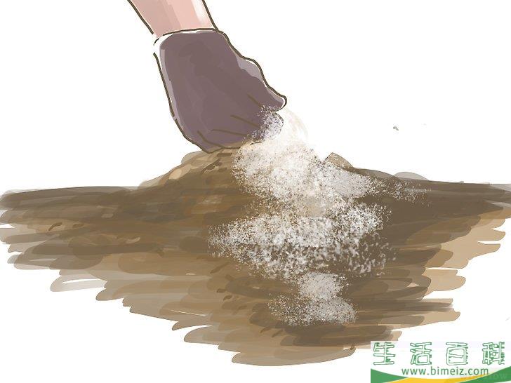怎么种橄榄