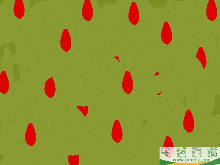 怎么赶跑松鼠