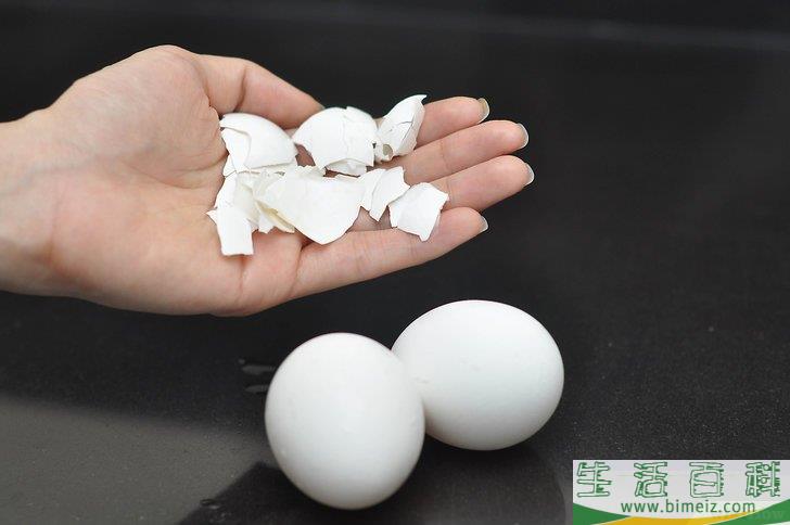 怎么才能把植物养好
