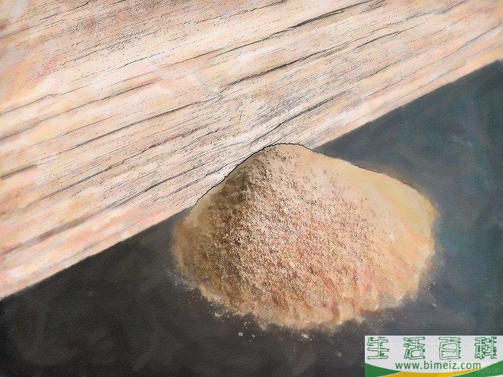 怎么清除木蚁