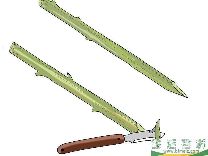 怎么嫁接树