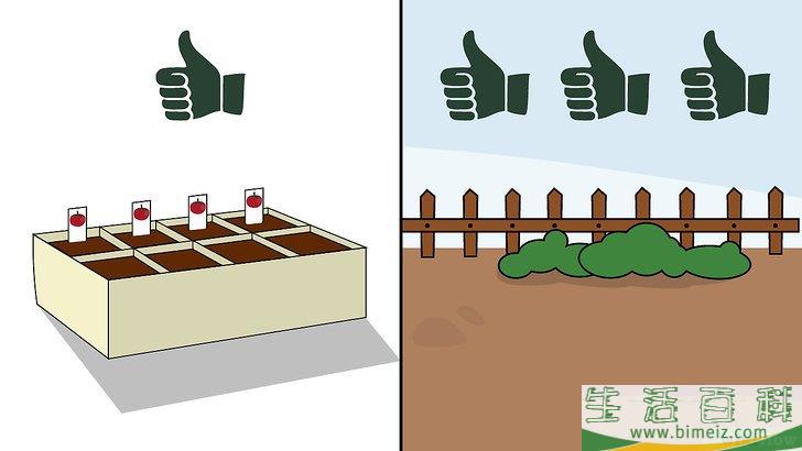 怎么种植番茄