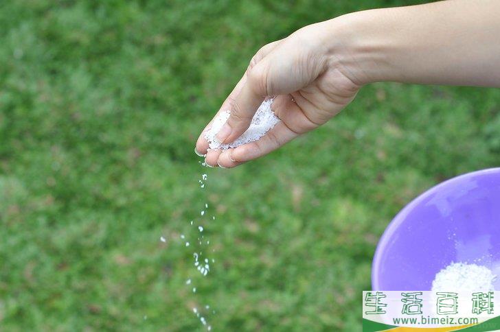 怎么才能把植物养好