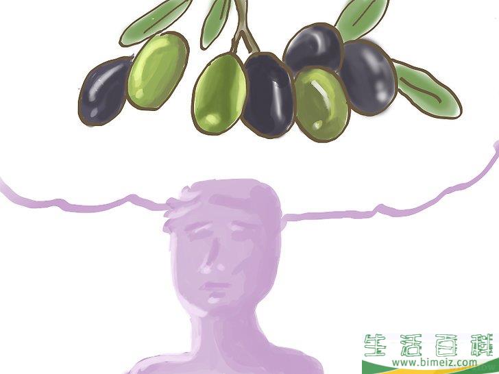 怎么种橄榄