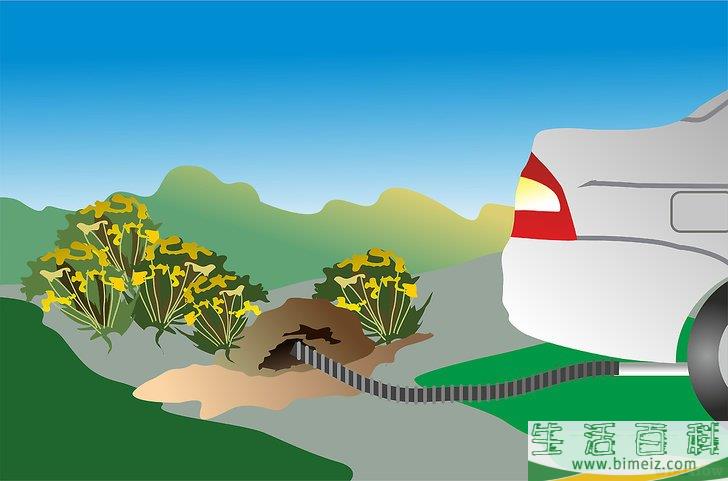 怎么消灭地鼠