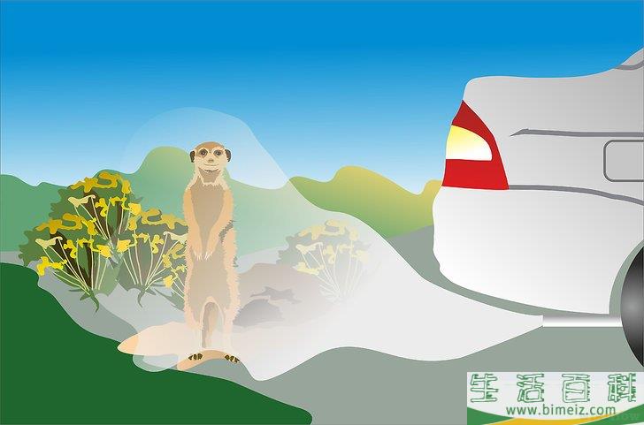 怎么消灭地鼠