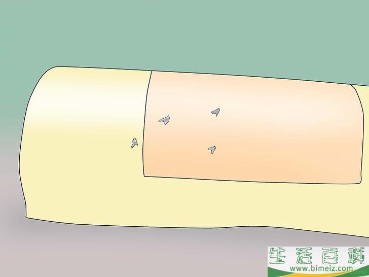 怎么捕捉苍蝇