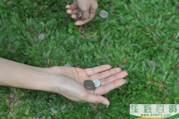 怎么才能把植物养好