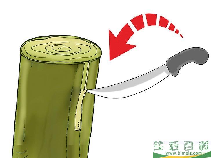 怎么嫁接树
