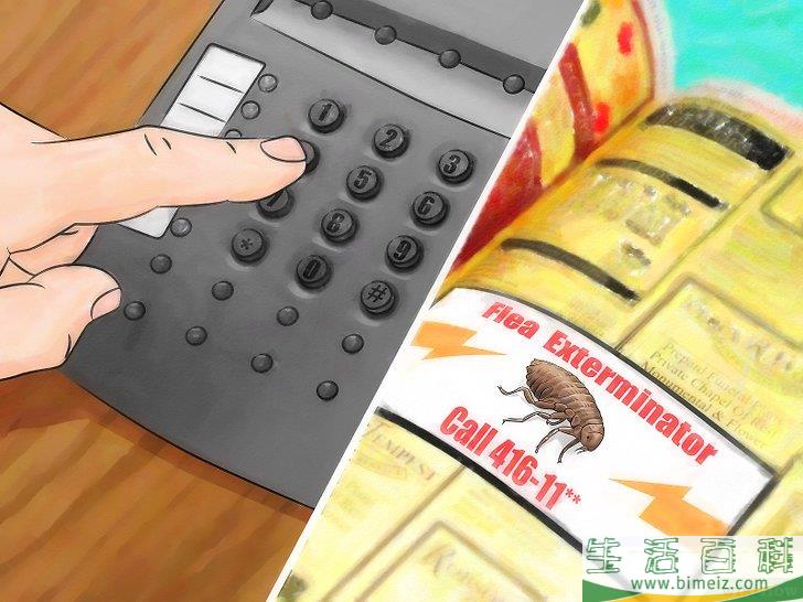 怎么消灭地毯里的跳蚤