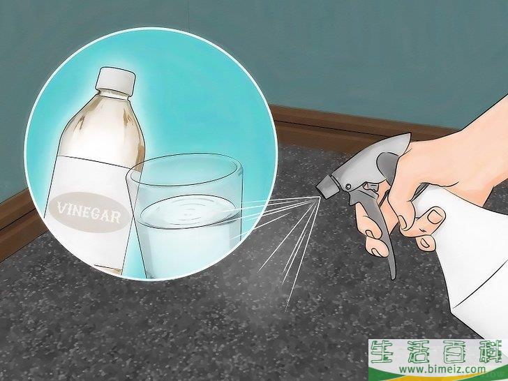 怎么消灭地毯里的跳蚤