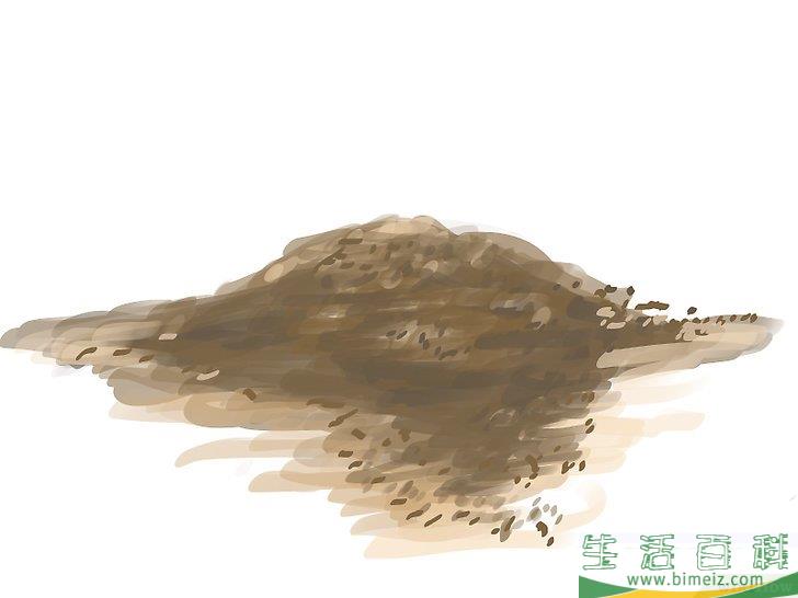 怎么种橄榄