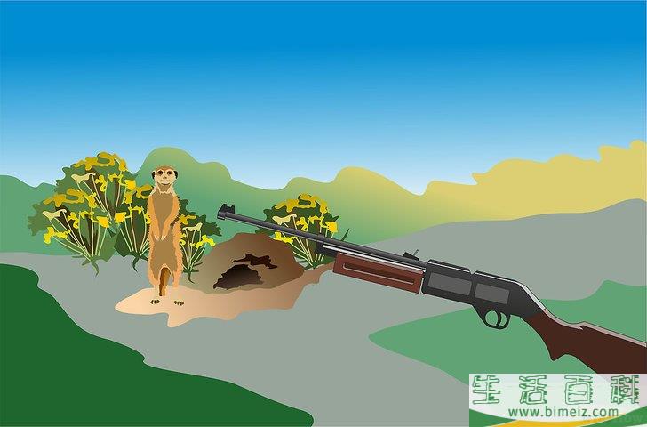 怎么消灭地鼠