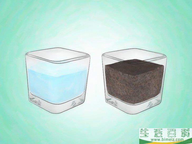 怎么栽种富贵竹