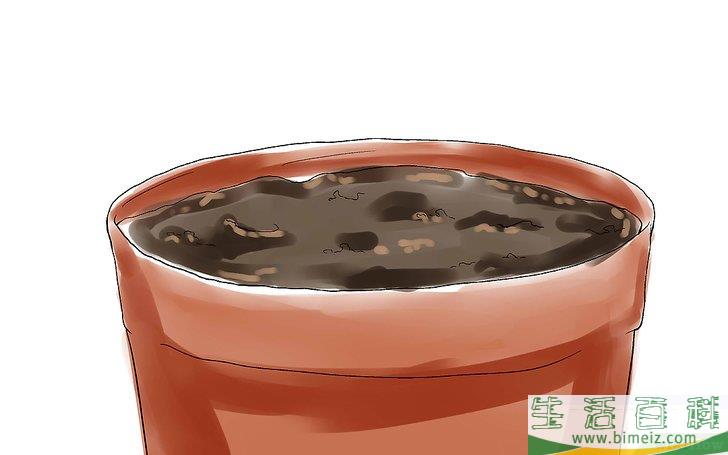 怎么种樱桃