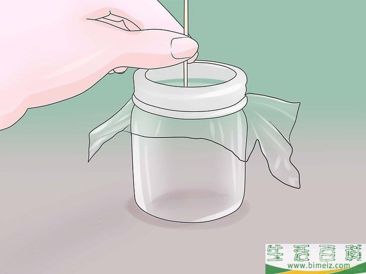 怎么捕捉苍蝇