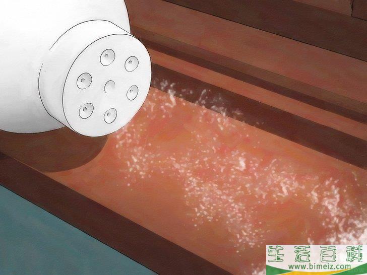 怎么消灭房间里的跳蚤和蜱虫
