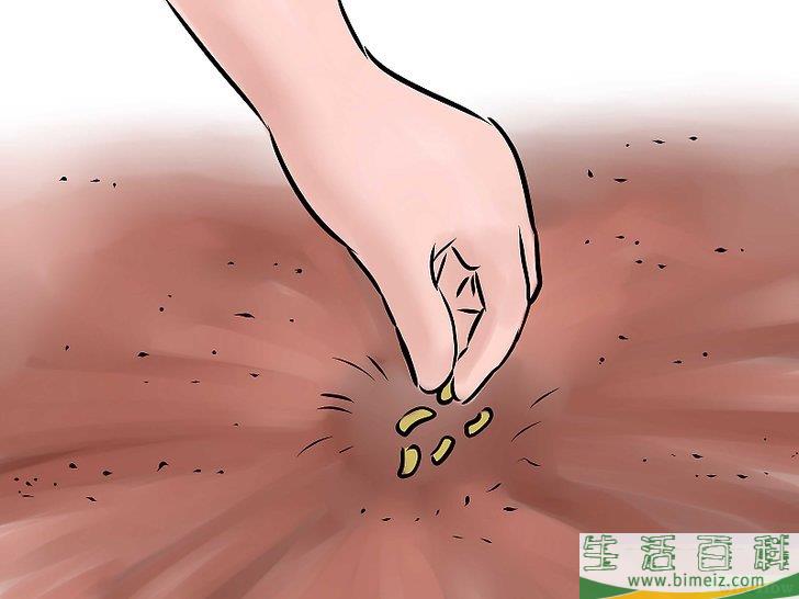 怎么种出一个花园