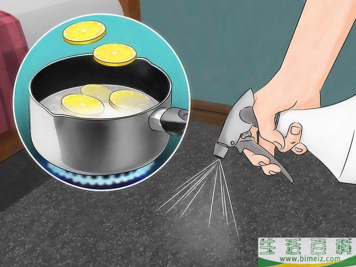 怎么消灭地毯里的跳蚤