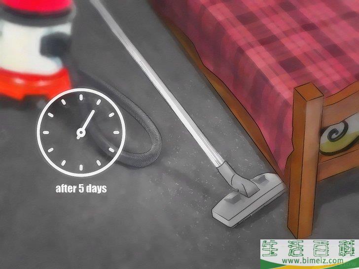 怎么消灭地毯里的跳蚤