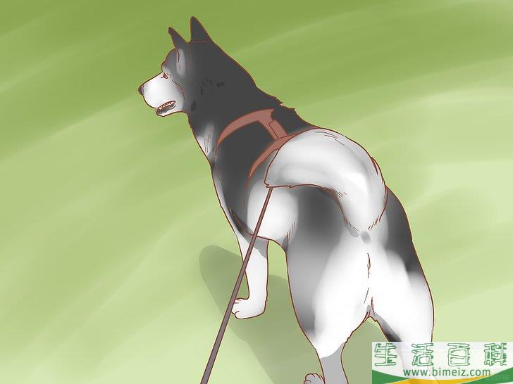 怎么帮忙做家务