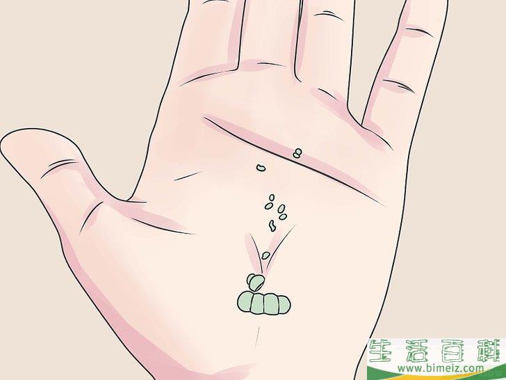 怎么栽种凤仙花