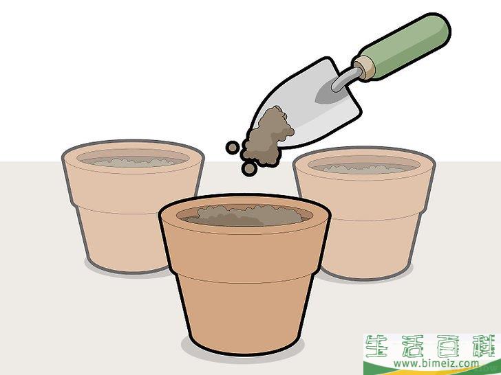 怎么修剪蟹爪兰