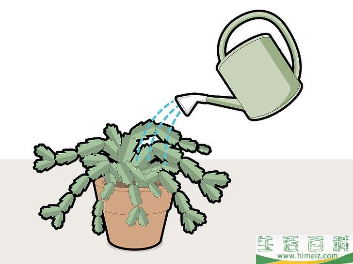 怎么修剪蟹爪兰