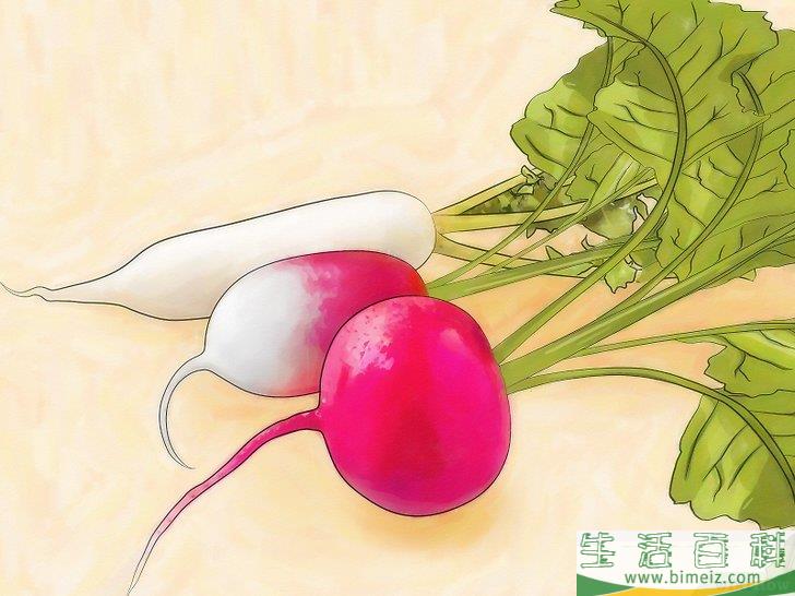 怎么种萝卜