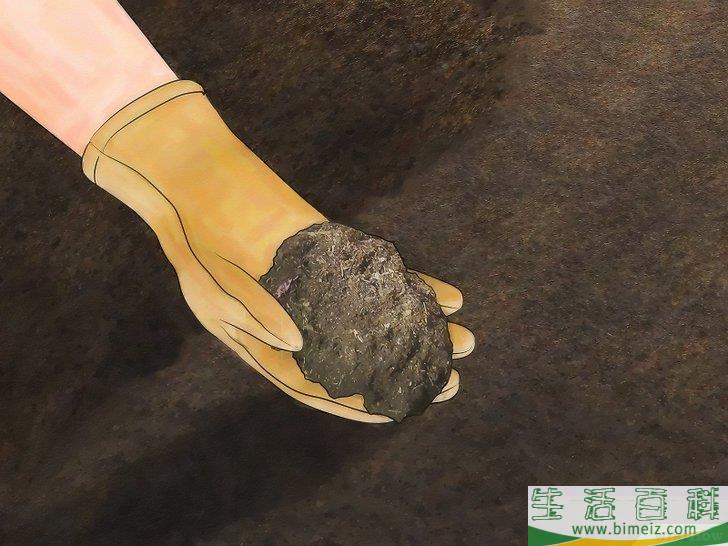 怎么种萝卜