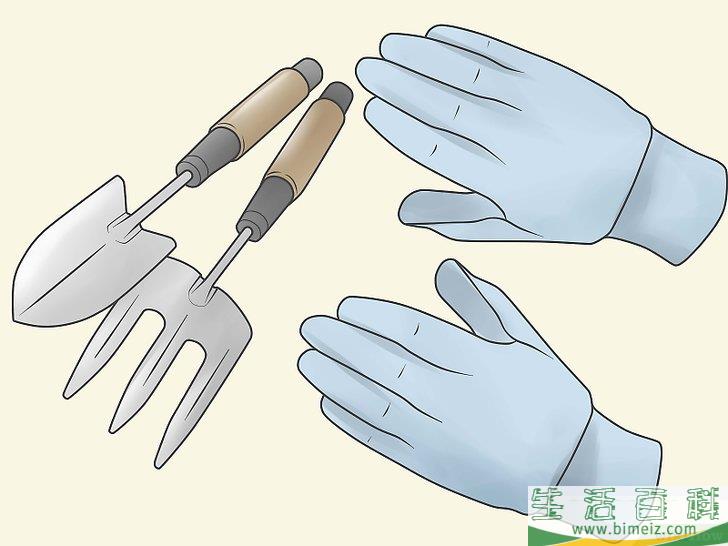 怎么栽种凤仙花