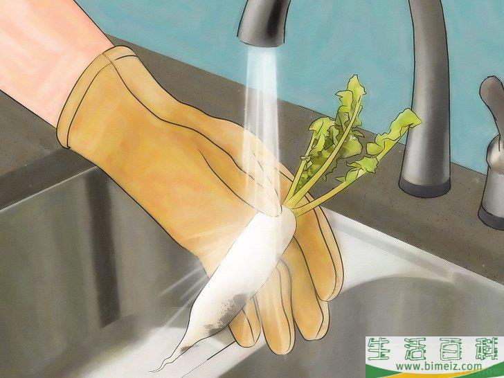 怎么种萝卜