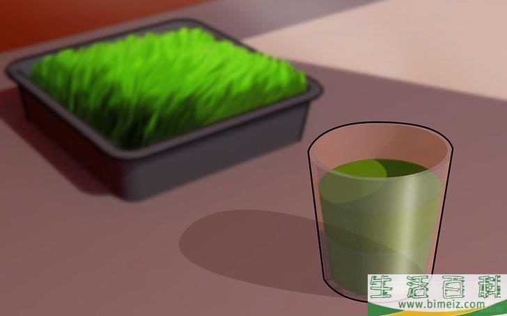 怎么在家种小麦草
