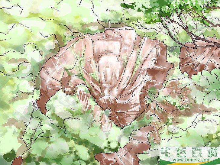 怎么应对山体滑坡和泥石流
